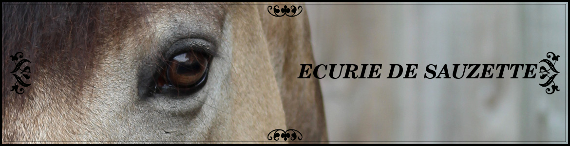 ECURIE DE SAUZETTE